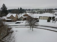 2014-02-10 11.11.45  Looking down the street